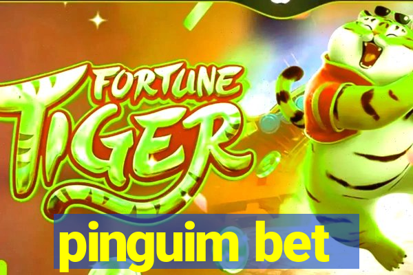 pinguim bet